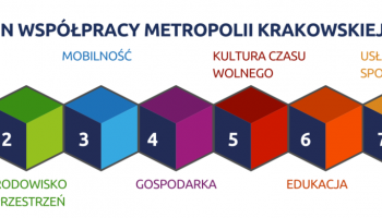 Dziedziny współpracy Metropolii Krakowskiej